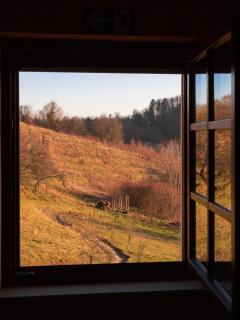 Vila Silva Marija Apartments - 1