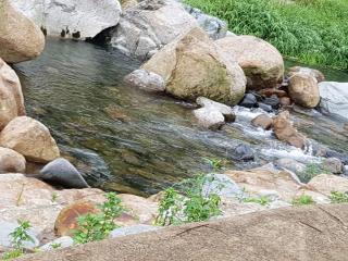 Green Valley - 1