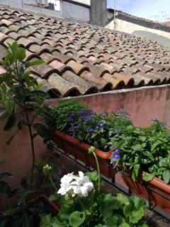 Altevolte Rooms - Catania - 3