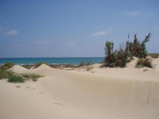 Sun & Blue Sea - La Mata - 9