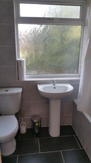 Elegant and spacious 2 bedroom - 4