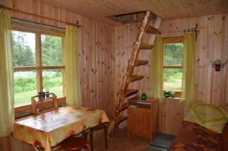 Saia Forest House - Voose - 9