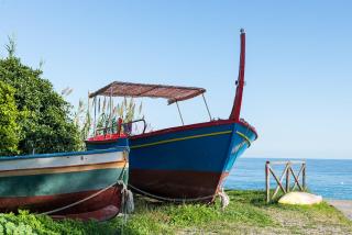 Cavalluccio Marino - Mazzeo - 1