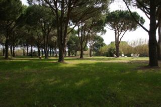 Leï Souco - Saint-Tropez - 8