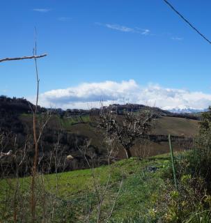 Casa di Tony - Montegiorgio - 6