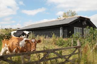 Bull Farm Studios - 1