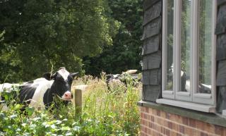 Bull Farm Studios - Winchester - 5