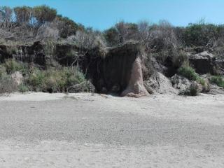 Los Caranchos II - 4