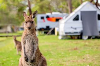 Tasman Holiday Parks - Kioloa Beach - Kioloa - 4