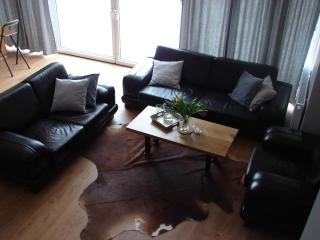 U Zuzanny - dom z prywatnym jeziorem - 4