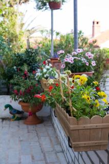 Apartman Dragica - Mali Lošinj - 6