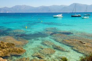 Résidence Goélia Perla D'Isula - Linguizzetta - 8