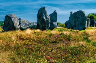 Résidence Goélia Bleue Océane - Carnac - 8