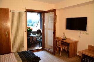 Blick zum Maimont - Ludwigswinkel - 4