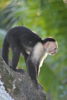 Finca Dos Calaveras - 8