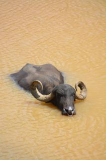 Finca Dos Calaveras - 7