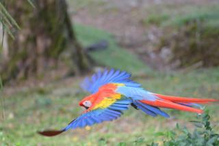 Finca Dos Calaveras - 3