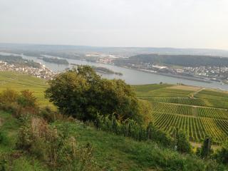 das Rebenhaus - Rüdesheim am Rhein - 5