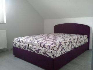 Kultúrház Apartman - Győr - 9