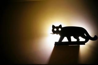 煙燻貓民宿 tesla充電需電洽-無合作Ago達平台 - 1