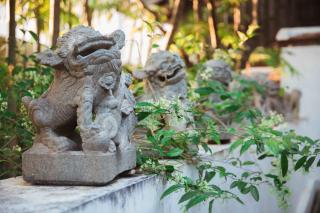 Villa Mahabhirom - SHA Plus - Chiang Mai - 3