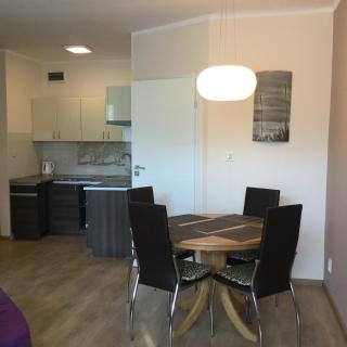 Apartament Rybka - Łukęcin - 0