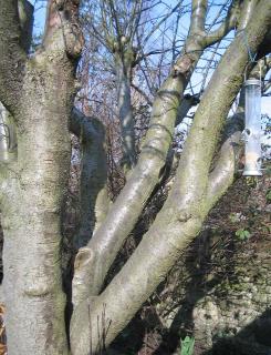 A-Haven Townhouse Hotel - Edimburgo - 3