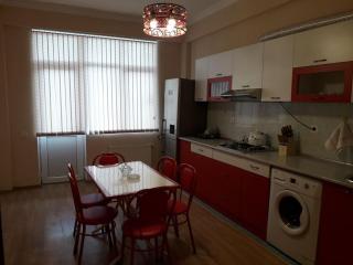 Elvintrade House - Gabala - 9