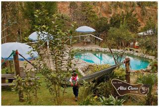 Altai Oasis Lodge - 1