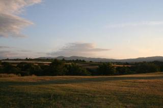 Les terres - Chaponost - 6
