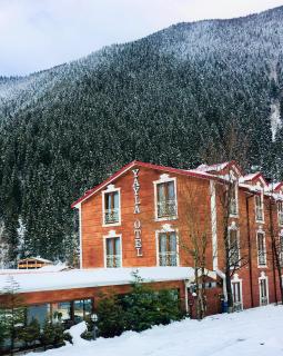 Uzungol Yayla Hotel - Uzungöl - 5