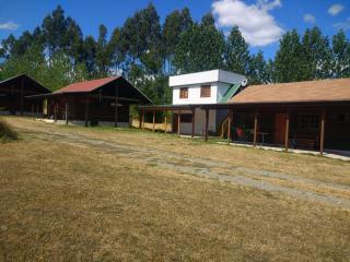 Cabañas Tornagaleones Villarrica - 4