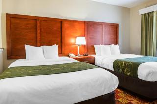 Comfort Suites Lake Charles - Lake Charles - 9