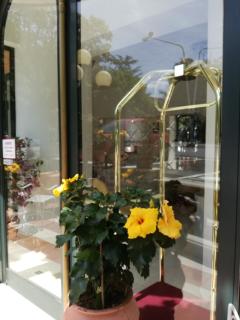 Eco-Hotel Edy - Chianciano Terme - 2