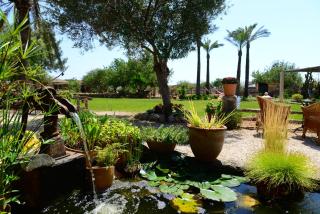 Agroturismo Finca Sant Blai - Campos - 0