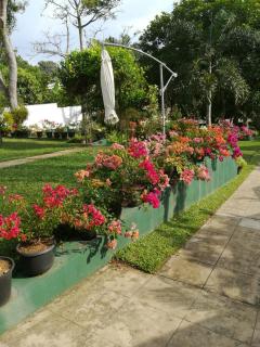 Samanala Garden Holiday Home - Hikkaduwa - 7
