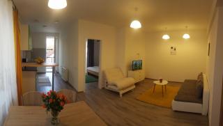Apartament Schiller 58 - Brasov - 1
