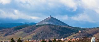 Carpe Diem Bed & Breakfast - Sélestat - 5