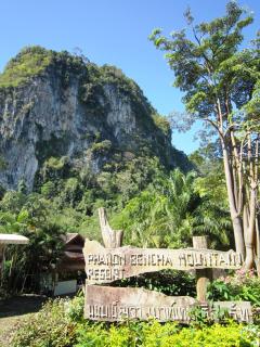 Phanom Bencha Mountain Resort - Krabi - 8