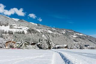 Landhaus Wanger - Neukirchen am Grossvenediger - 5
