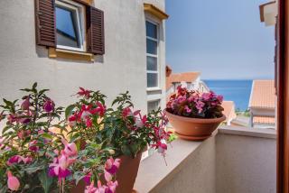Apartment Budinic - Mali Lošinj - 5