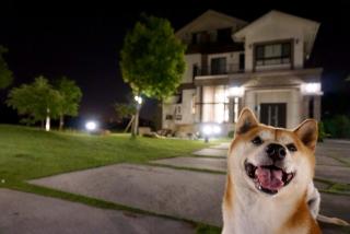 CarNo B&B - 4