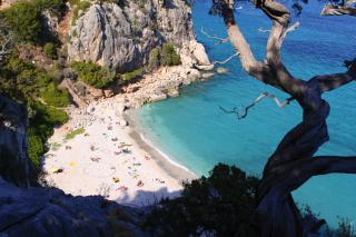 stella del mare - Cala Gonone - 7