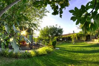 Levana Guest House - Balgarevo - 9