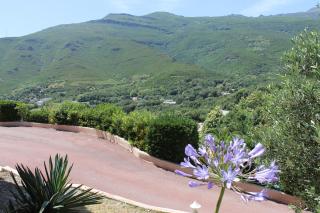 Gites Carolina - Sisco - 6