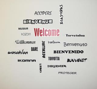 B&B Studio 162 - Bari - 4