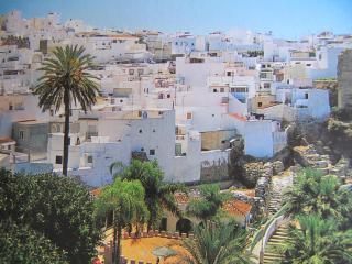 Central Almuñecar, Beach Playa 125 metres, by Old Town - 4
