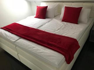 Luxus-Appartement im Herzen der Stadt - Bad Kreuznach - 4