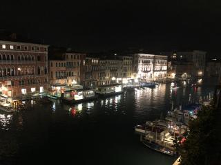 Rialto Terrace on the Grand Canal - Venice - 9
