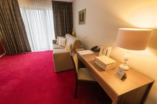 Hotel Boutique Belvedere - Sinaia - 8